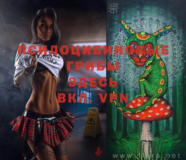 кокаин премиум Алексеевка