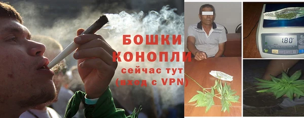 мет Новозыбков