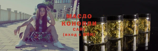 СК Новодвинск