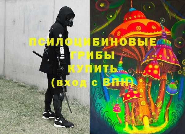 герыч Алексин