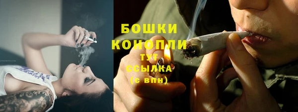 СК Новодвинск