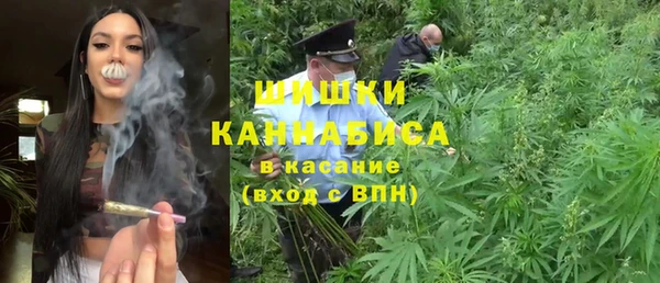 СК Новодвинск