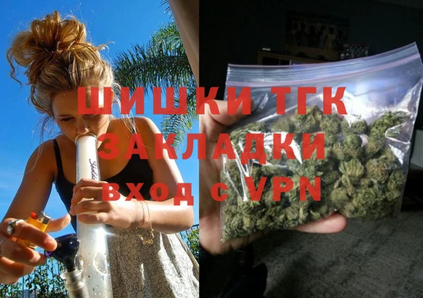 СК Новодвинск