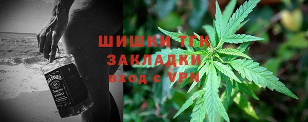 мет Новозыбков