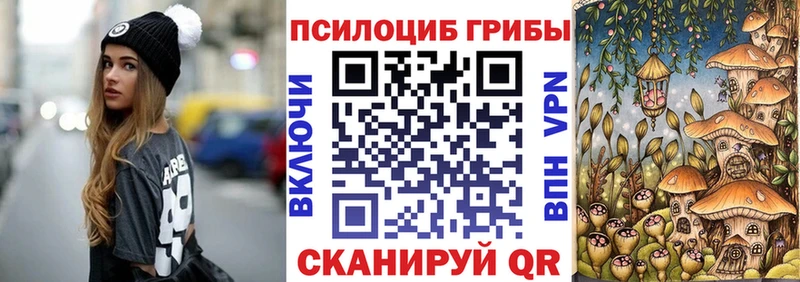Псилоцибиновые грибы Psilocybe  Юрьевец 